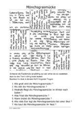 Mönchsgrasmücke.pdf